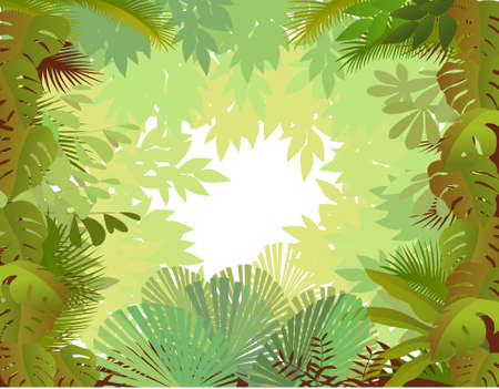 forest backgroundのイラスト素材