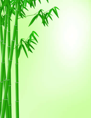 Bamboo backgroundのイラスト素材