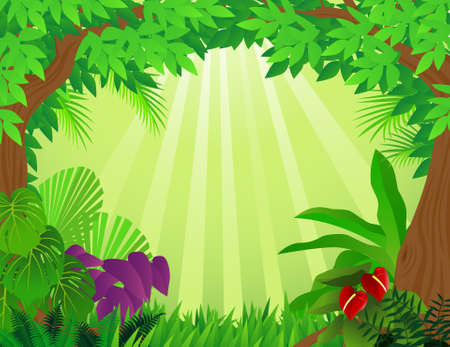 Forest backgroundのイラスト素材