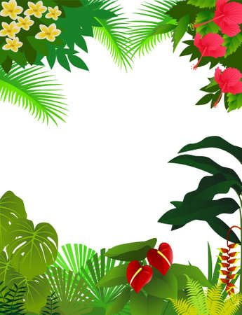 Tropical forest backgroundのイラスト素材