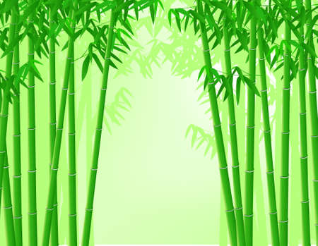 Bamboo forestのイラスト素材
