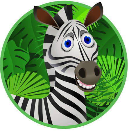 Zebra cartoonのイラスト素材