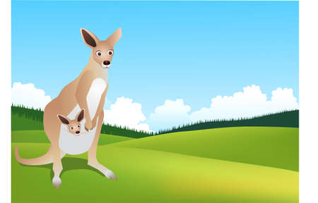 kangaroo australiaのイラスト素材