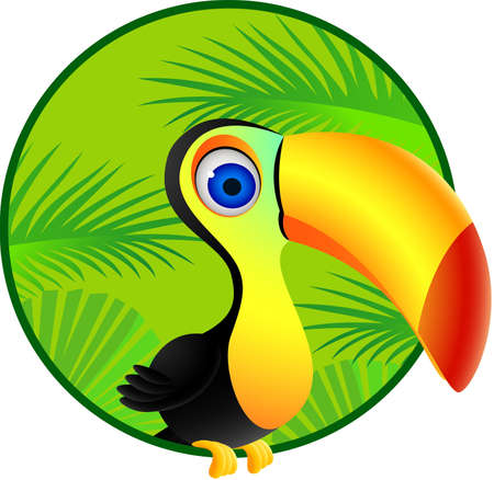 Toucan birdのイラスト素材