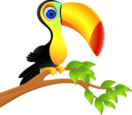 Toucan birdのイラスト素材