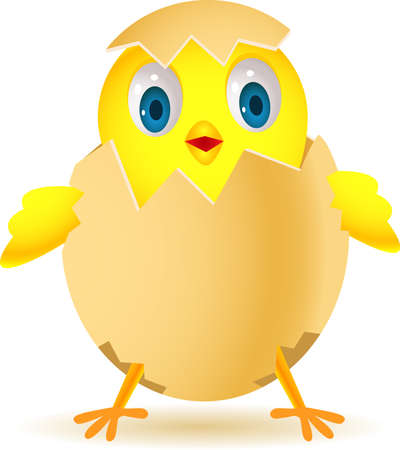 Cute chicken in eggのイラスト素材