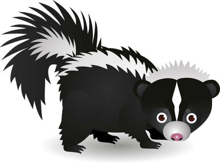 Skunk cartoonのイラスト素材