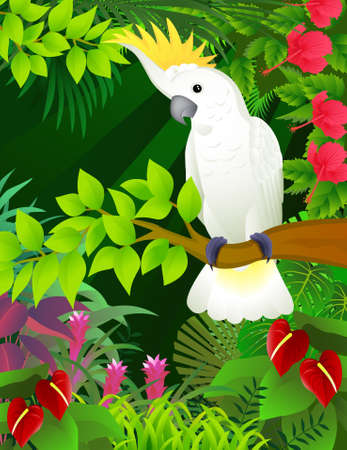 Cockatoo in the tropical forestのイラスト素材