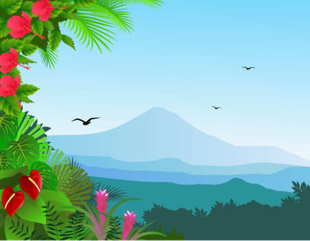 Tropical forest backgroundのイラスト素材
