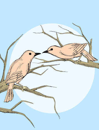 Couple birdのイラスト素材