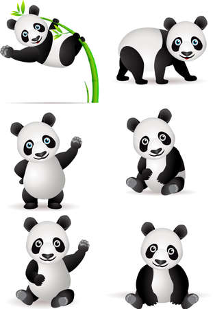 Panda cartoonのイラスト素材