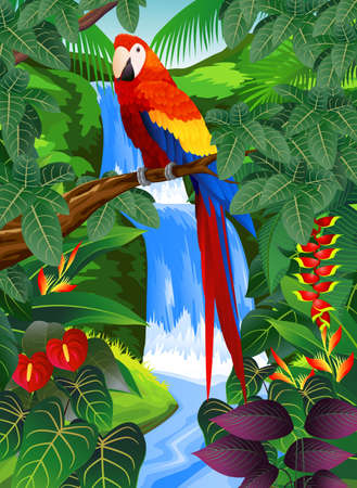 Tropical bird in the tropical forest のイラスト素材