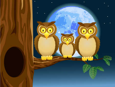 Owl Familyのイラスト素材