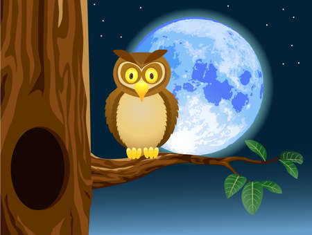 Owl cartoonのイラスト素材