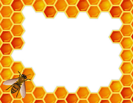 Bee with honey combのイラスト素材