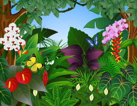 Nature backgroundのイラスト素材