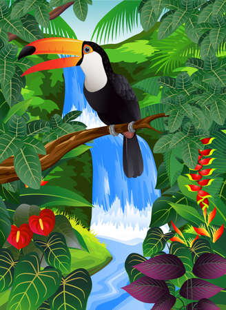 Toucan bird in the tropicalのイラスト素材