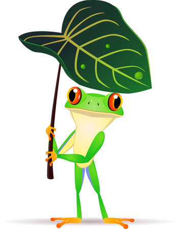 Frog with leafのイラスト素材