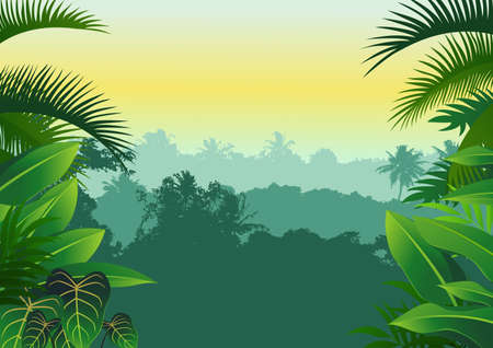 jungleのイラスト素材