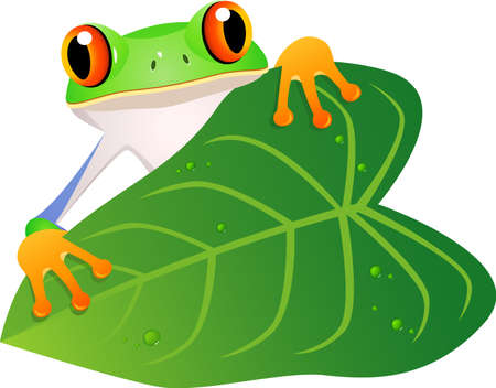 Frog cartoonのイラスト素材