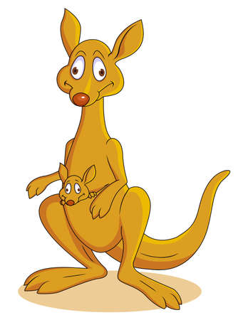Kangoroo cartoonの写真素材