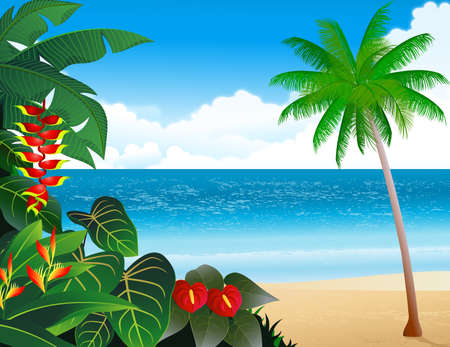 Tropical beach backgroundの写真素材