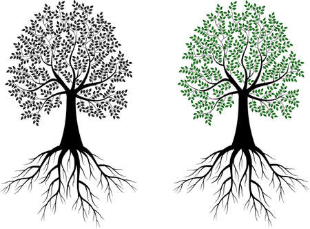 tree silhouetteの写真素材