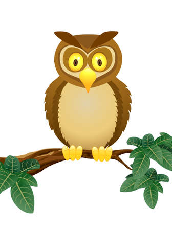 Owl Cartoonの写真素材