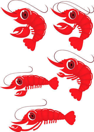 Funny shrimp cartoon の写真素材