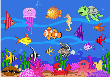 Sea lifeの写真素材