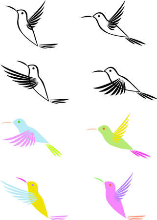 Hummingbird のイラスト素材