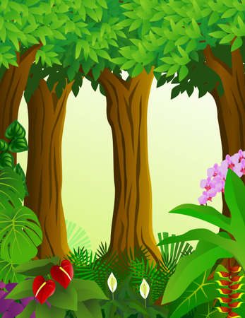 forestのイラスト素材