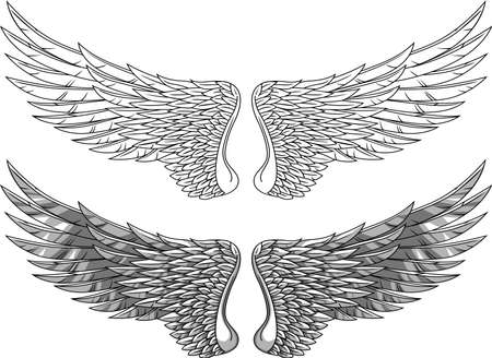 Wingsのイラスト素材