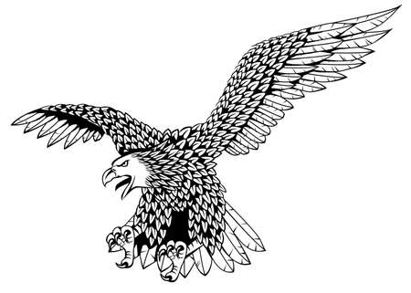 Detailed eagle vectorのイラスト素材