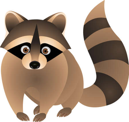 Raccoon Cartoonのイラスト素材
