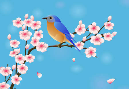 Background with blossom and birdのイラスト素材
