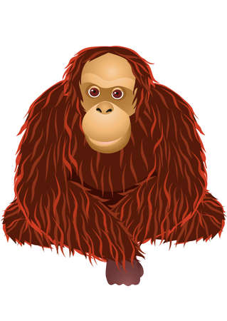 Orangutan Cartoonのイラスト素材