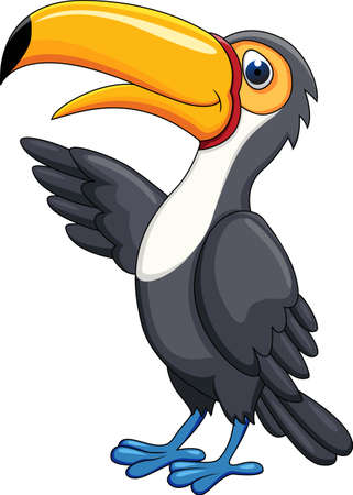 Toucan Birdのイラスト素材