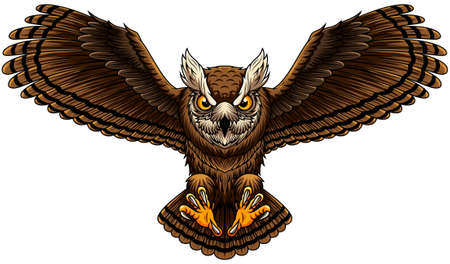 Angry mascot owl sport designのイラスト素材