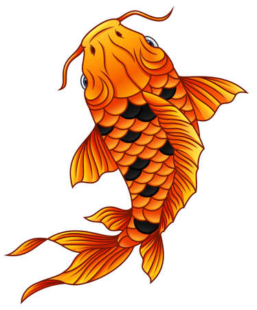 Cartoon koi fish swimming on whiteのイラスト素材