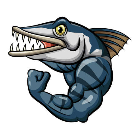 Cartoon strong angry barracuda fish mascotのイラスト素材