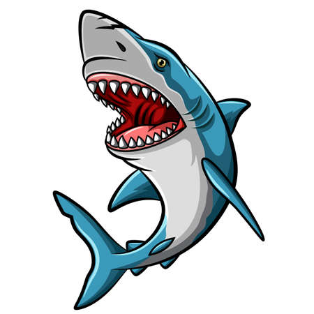 Cartoon angry shark mascot on white backgroundのイラスト素材