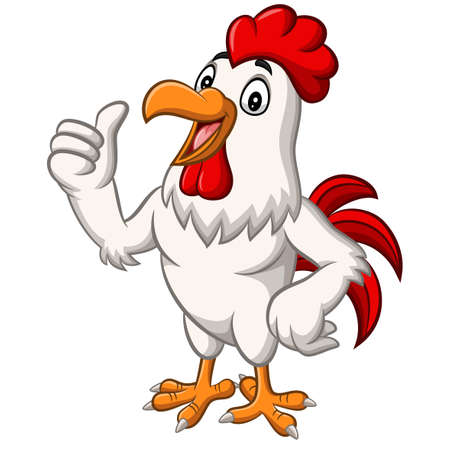 Cartoon chicken rooster mascot giving thumb upのイラスト素材