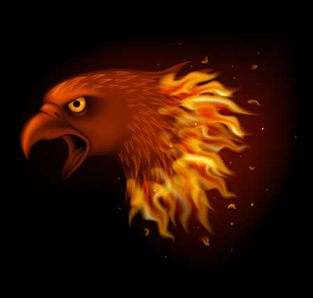 Fire eagle head isolated on black backgroundのイラスト素材