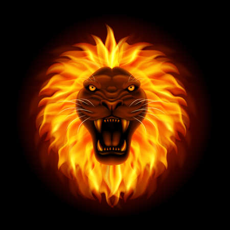 Fire lion head isolated on black backgroundのイラスト素材