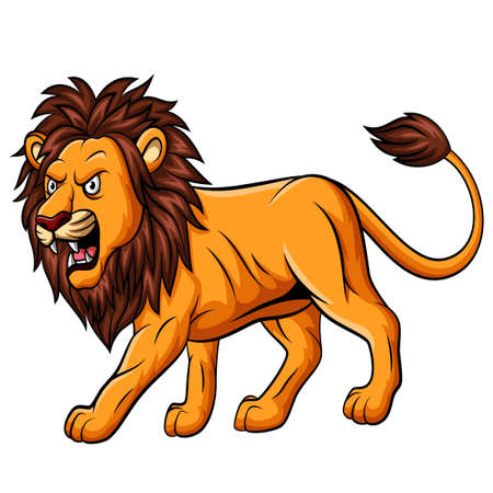 Cartoon roaring lion mascot on white backgroundのイラスト素材