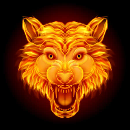 Fire wolf head isolated on blackのイラスト素材