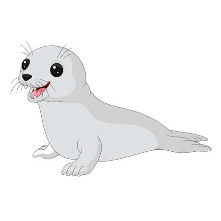 Cartoon baby seal on whiteのイラスト素材