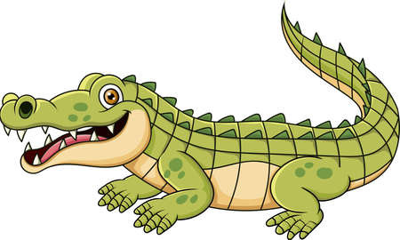 Cartoon happy crocodile character designのイラスト素材