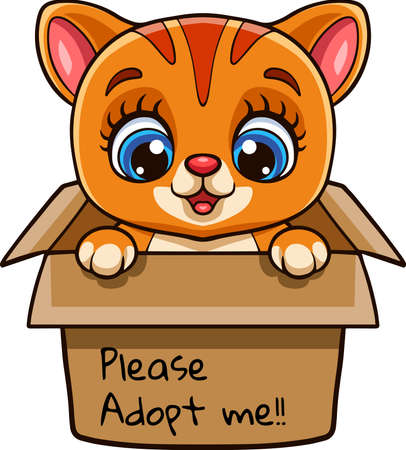 Cute cat cartoon in present gift box with text adopt me pleaseのイラスト素材